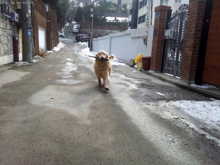 동우와 북어 동우와 북어