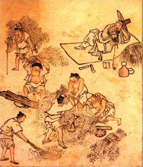 한국사 핵심정리 - 광작 / 도조법 / 균역법