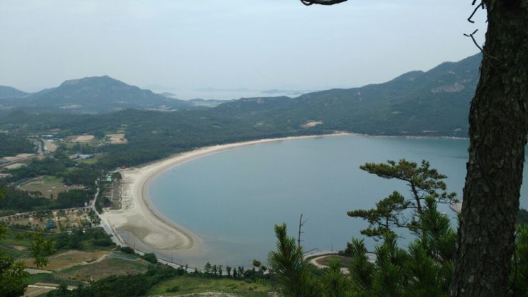 신안 도초도 천도천색 백패킹