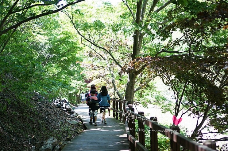 보령 가볼만한곳 성주산자연휴양림 야영장 당일캠핑도 굿~~~