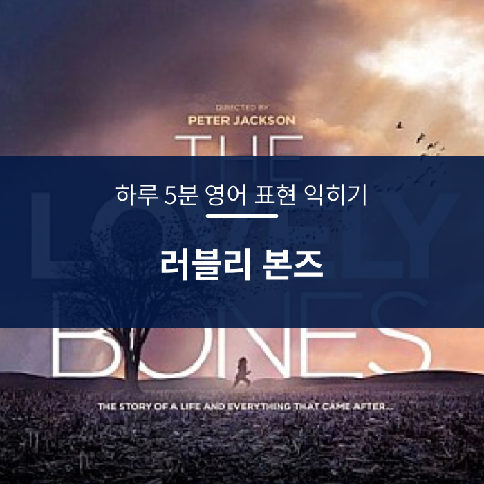 하루 5분 영어 표현 익히기 - 러블리 본즈