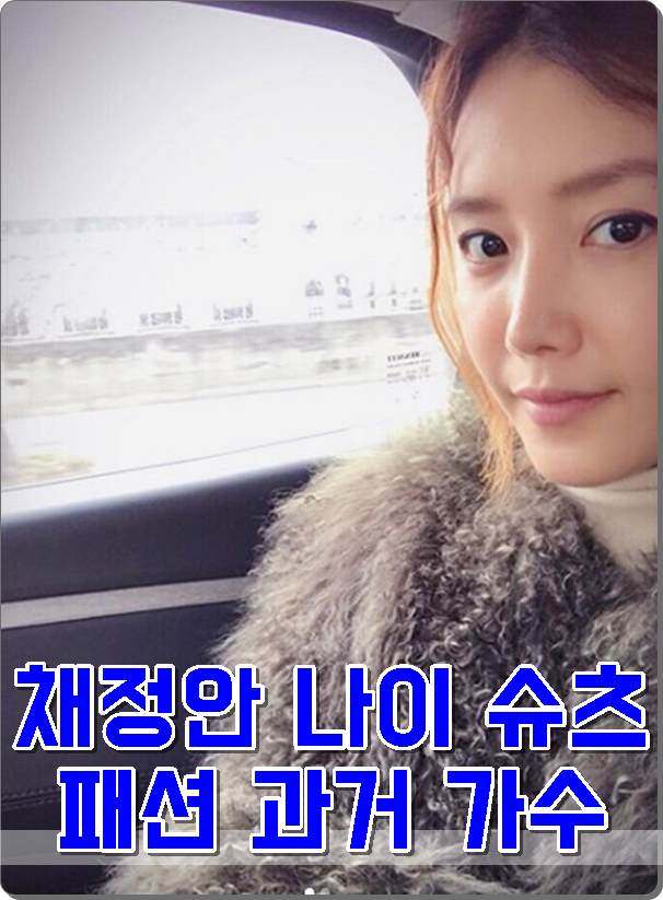 채정안 나이 슈츠 패션 과거 가수시절 미모 굿