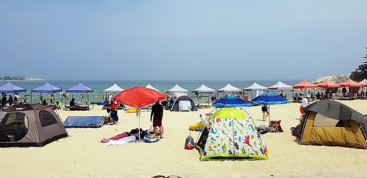 강원도 송지호 오토캠핑장 폭염주의보 조심하세요.
