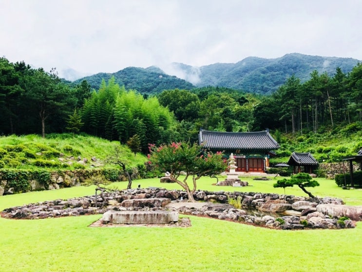 경남산청 수선사,가볼만한곳,연꽃