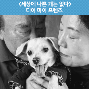 디어 마이 프렌즈 - EBS <세상에 나쁜 개는 없다>