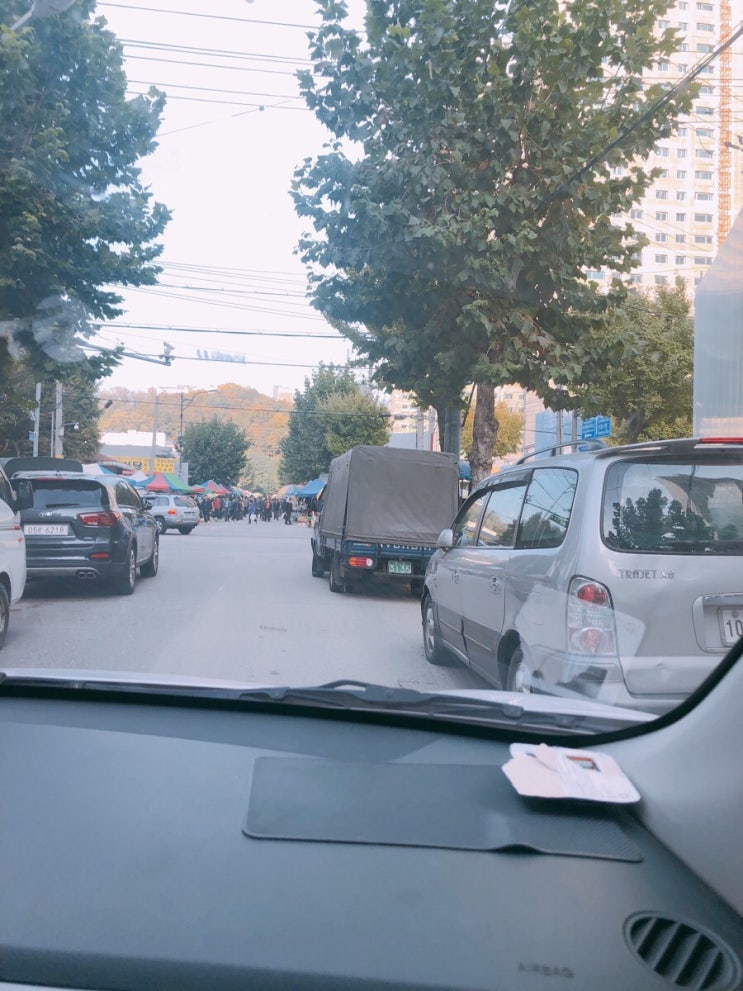 안산 가볼만한곳 시민시장 오일장 대유잼