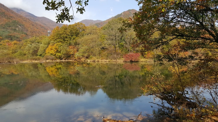 상주백화산 둘레길에서 건혜는~