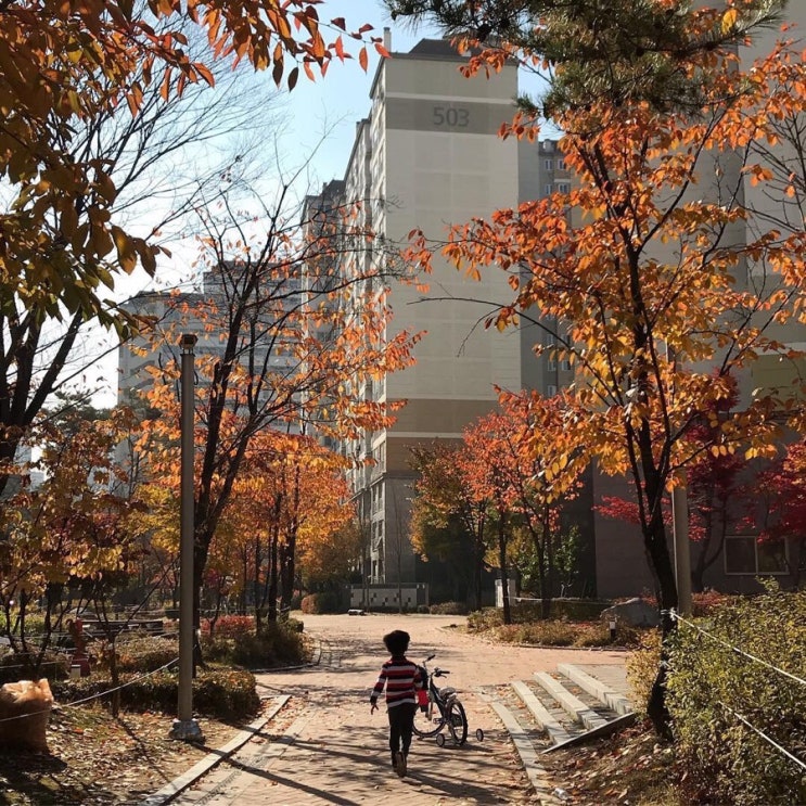샛노랑과 새빨강 사이