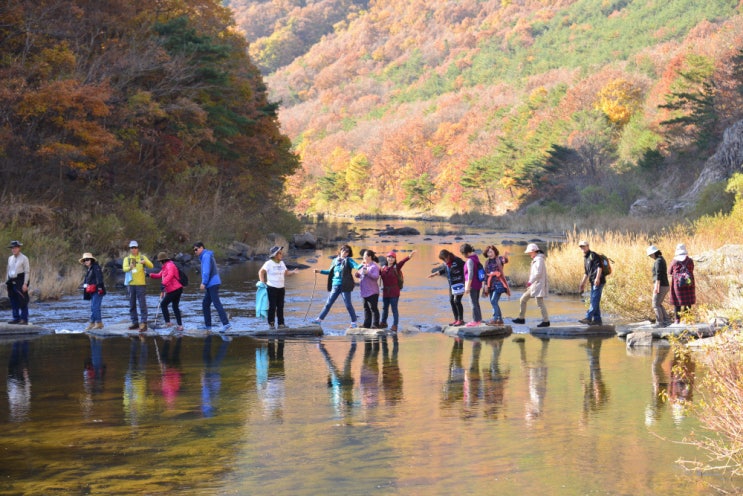 상주 백화산 둘레길