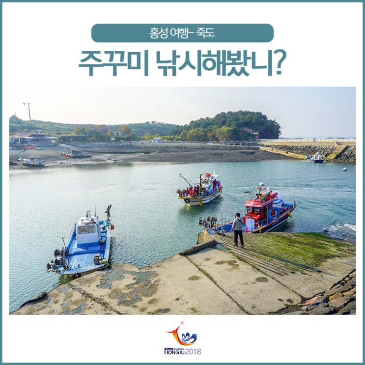 홍성 죽도에서 주꾸미 낚시해봤니?