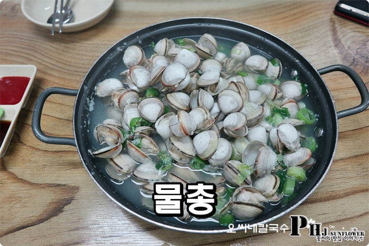 대전 칼국수 맛집 / 동죽 오씨칼국수