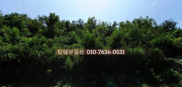 낭도 토지 매매 651평 남향 임야 바다뷰 여수시 화정면 낭도리 - 토담부동산