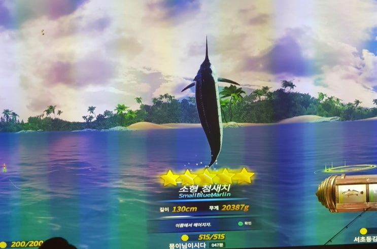 서울,신천 낚시터(스크린낚시)-피싱조이