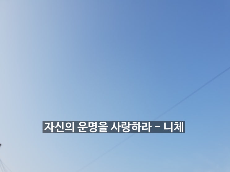 아모르파티 뜻 참 좋네요.