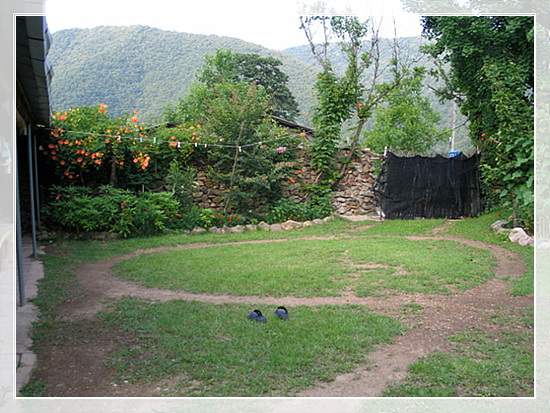 맨발의 청춘