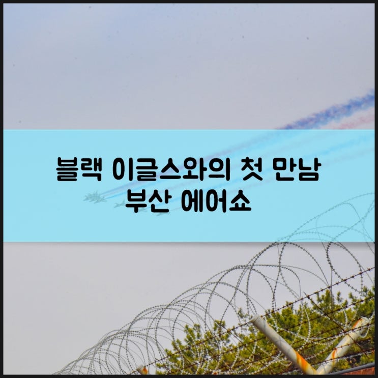 부산 에어쇼, 블랙이글스의 곡예비행에 푹 빠지다
