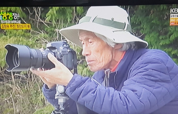 KBS생생정보로 보는 김창숙 추천 청산도의 봄과 완도 5일장#청산도의봄#청산도향토사진작가김광섭#완도5일장#완도전복#은방울꽃의여행이야기