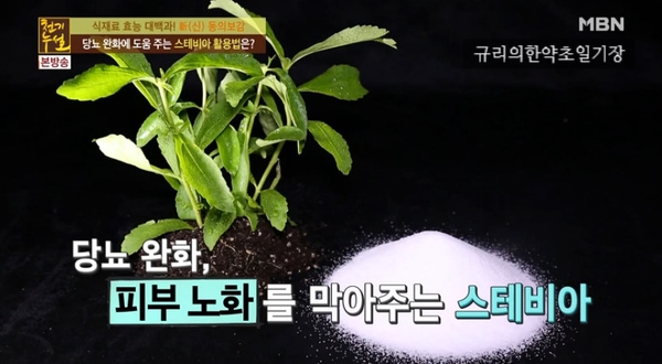 칼로리 0, 혈당지수 0, 스테비아 설탕 효능 부작용 봅니다!