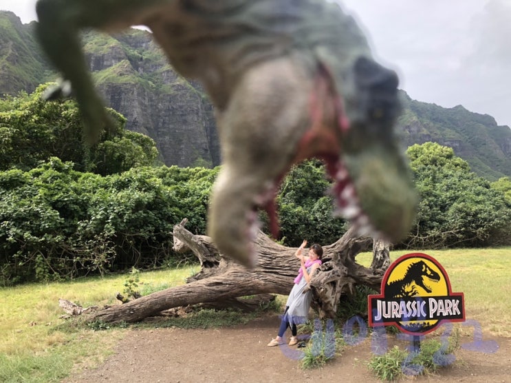 하와이 여행 : 강추강추 KUALOA RANCH 쿠알로아랜치 무비사이트 투어(쥬라기공원, 콩스컬아일랜드, 로스트...) / ATV / 정글투어 1