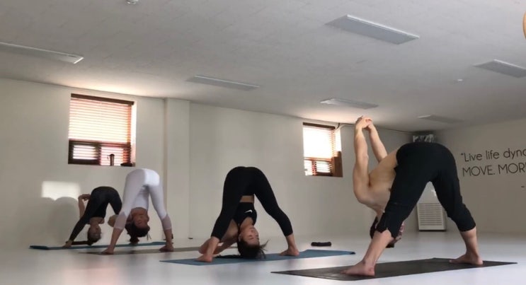 프라사리타 파도타나사나 C Prasarita Padottanasana C