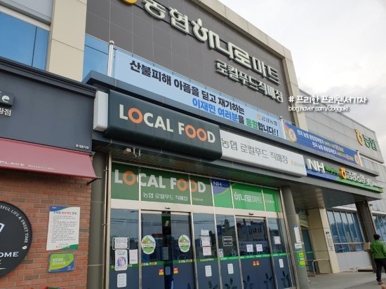 고성여행) 금강농협 하나로마트 로컬푸드 직매장