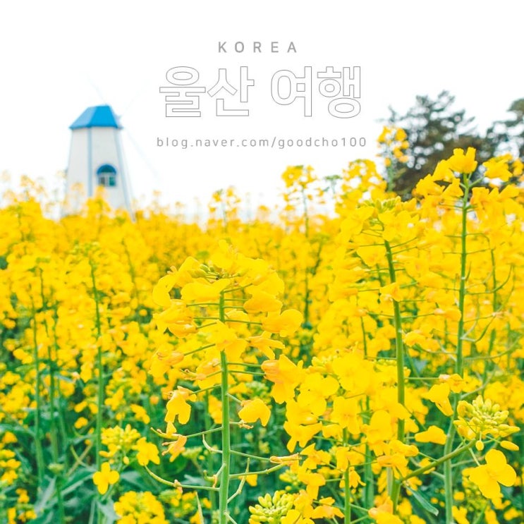수서 SRT 예약, 시간표, 가격 + 울산 간절곶