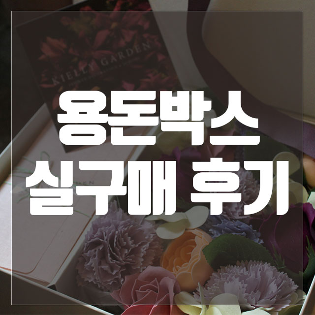 어버이날 용돈박스 내돈주고 산 후기