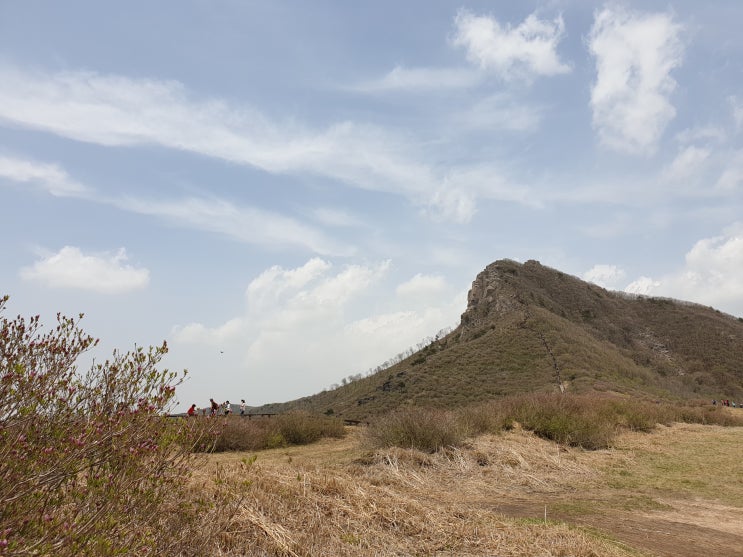 너무 서두른 산청 황매산 철쭉산행('19.05.01)