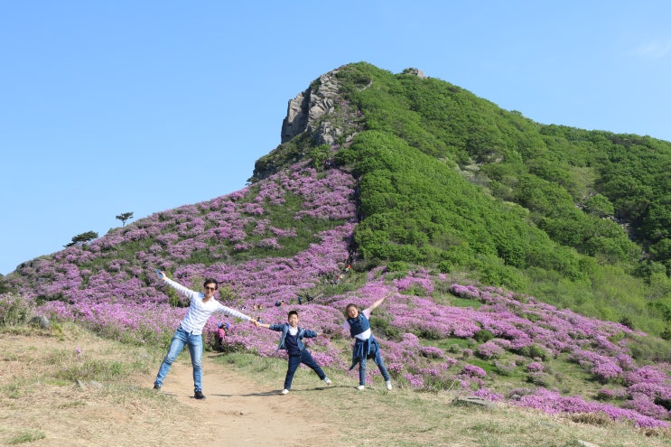 5월 가볼만한곳 산청 황매산 철쭉축제 역시 절경!!
