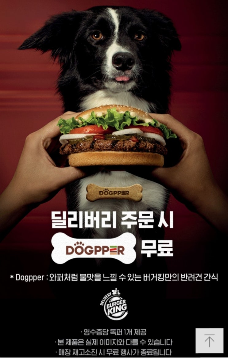 롯데리아 버거킹 5월행사 하반기 정리