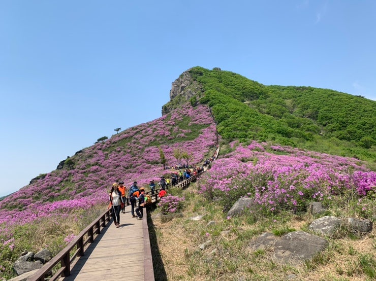 [K2안양산악회 산행] 합천 산청군 황매산 철쭉축제 100대명산 등산코스 안내