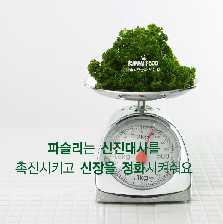 파슬리 얼마큼 아세요? 파슬리 효능과 섭치 방법