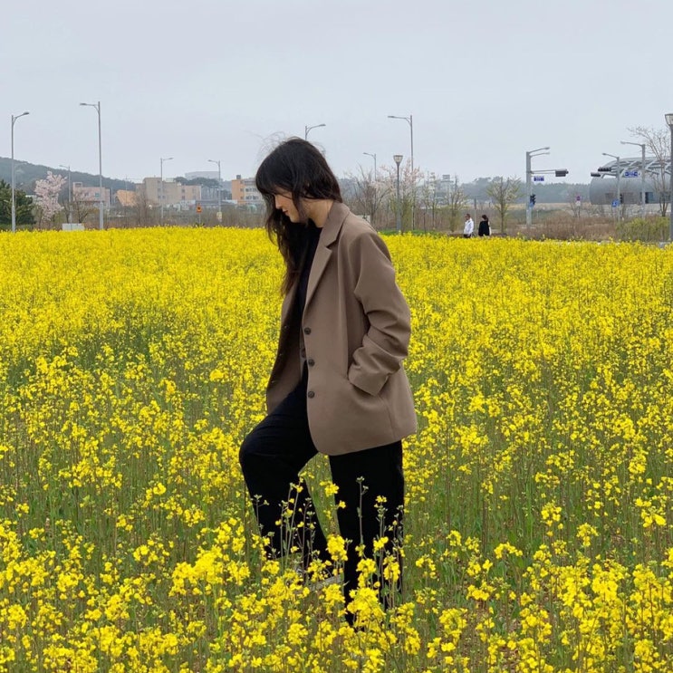 Apr 21, 2019 : 당진 장고항 실치축제 with,아빠 엄마