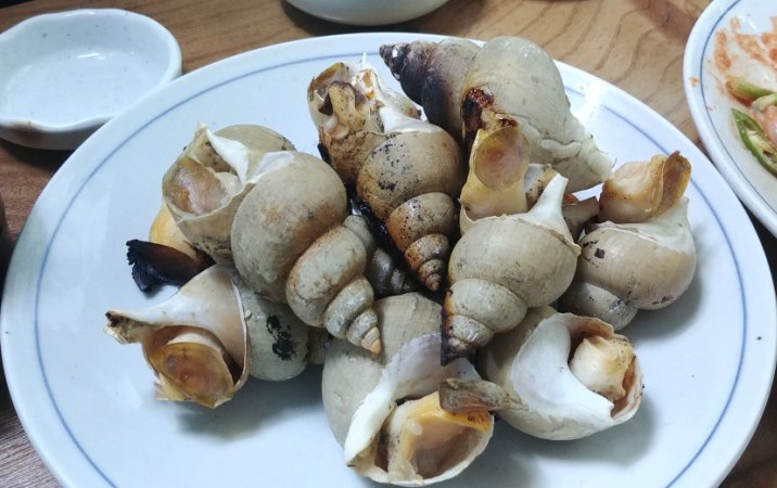 종로3가 영일식당 - 구룡포 직송 잡어회, 백고동 구이, 미역치탕과 테슬라 한잔