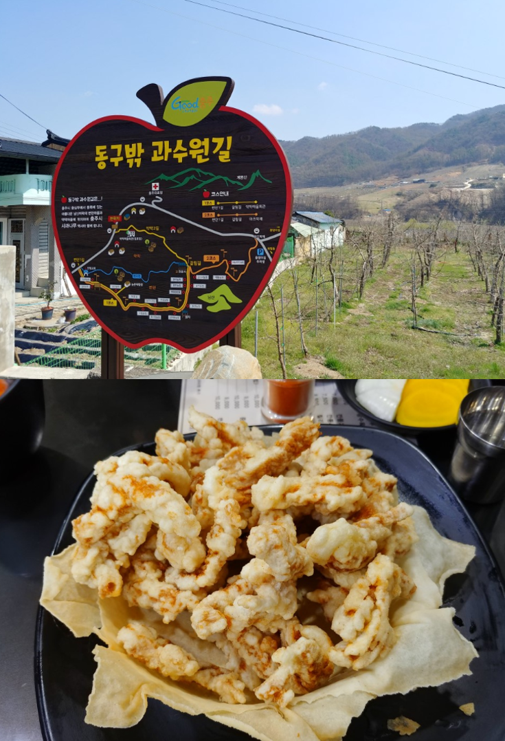 충청도 충주 가볼만한곳 / 여행 코스, 볼거리가 가득해~