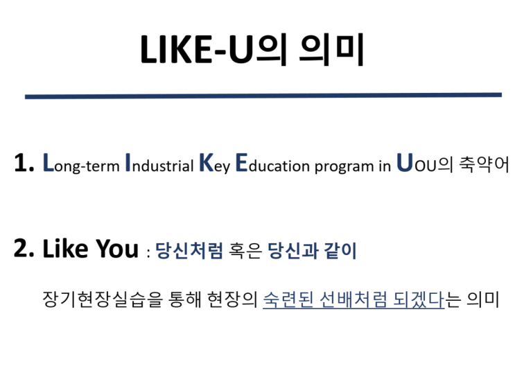 2019-1학기 울산대학교 LIKE-U 장기현장실습 후기