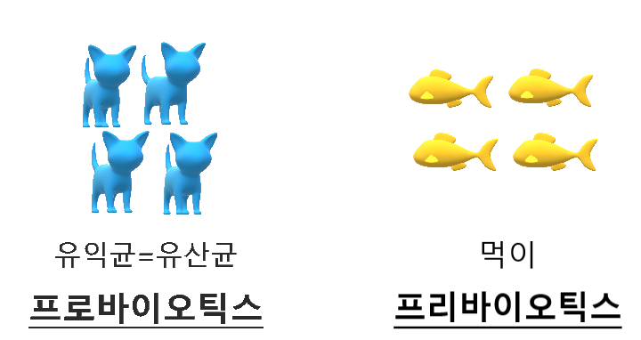[영양제] 프로바이오틱스&프리바이오틱스 공부 #복합유산균 #데일리베스트프로바이오틱스골드