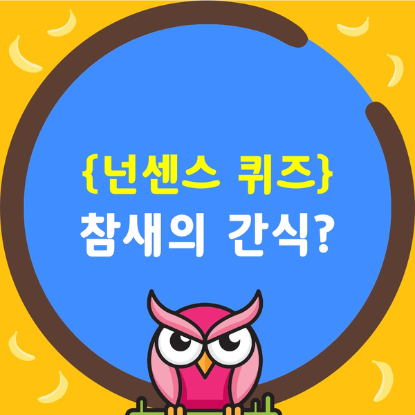 수수께끼 문제 풀기-참새간식