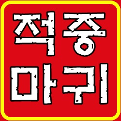 잉글랜드 U20 : 일본 U22 툴롱컵 6월1일