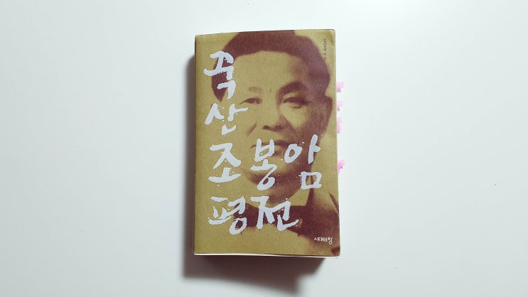 죽산 조봉암 평전 - 김상웅 지음