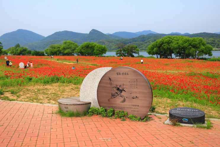 남양주 물의정원 양귀비,경의중앙선 전철여행,서울근교 가볼만한곳