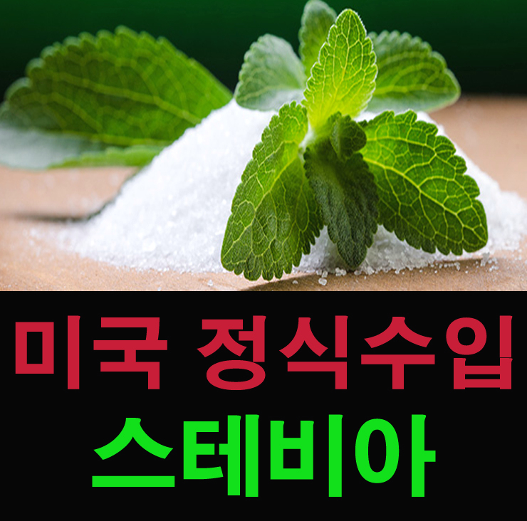 에리스리톨 스테비아 설탕 효능과 가격 스태비아 파는곳