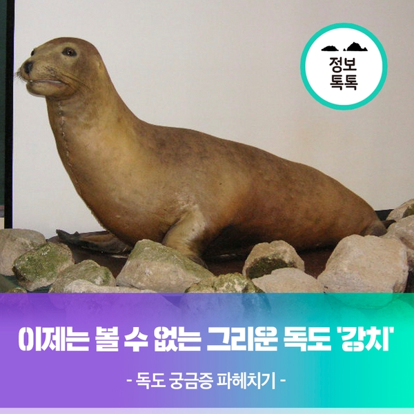 [독도궁금증파헤치기] 이제는 볼 수 없는 그리운 독도 강치