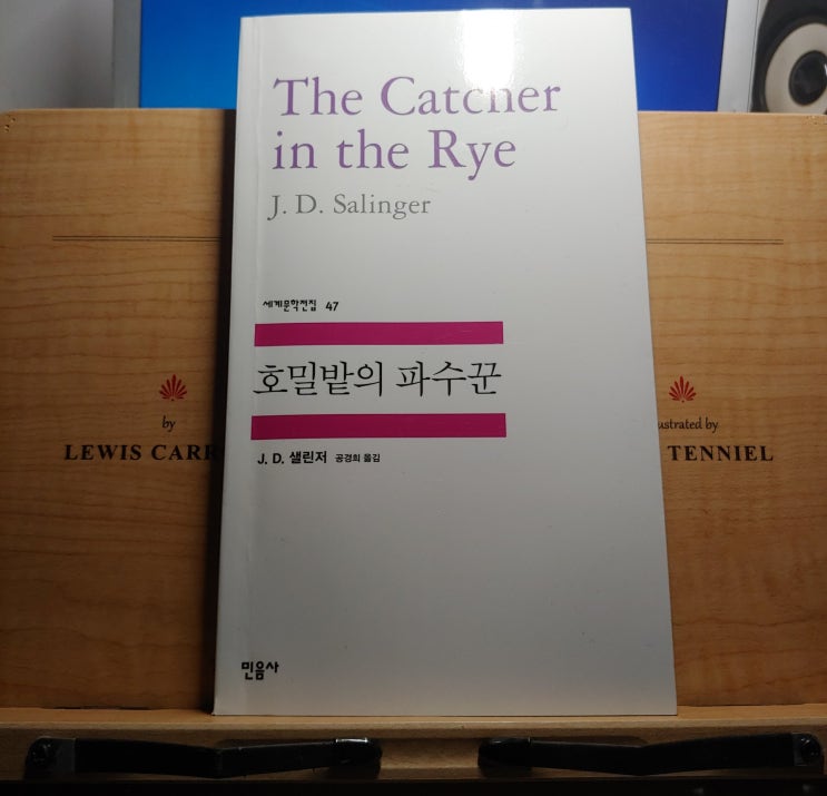 호밀밭의 파수꾼 줄거리