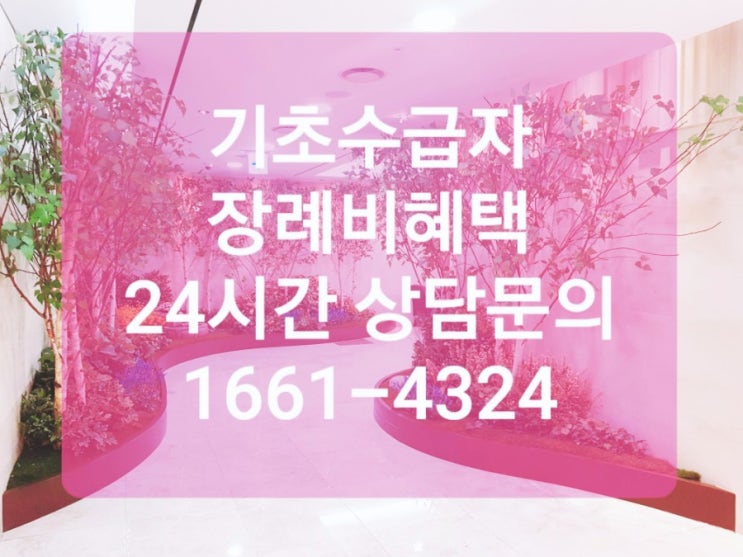 기초수급자 장례비 혜택 장례식3일장 장례비용 장례절차 나눔복지장례지원단 신촌세브란스병원장례식장 알아보기