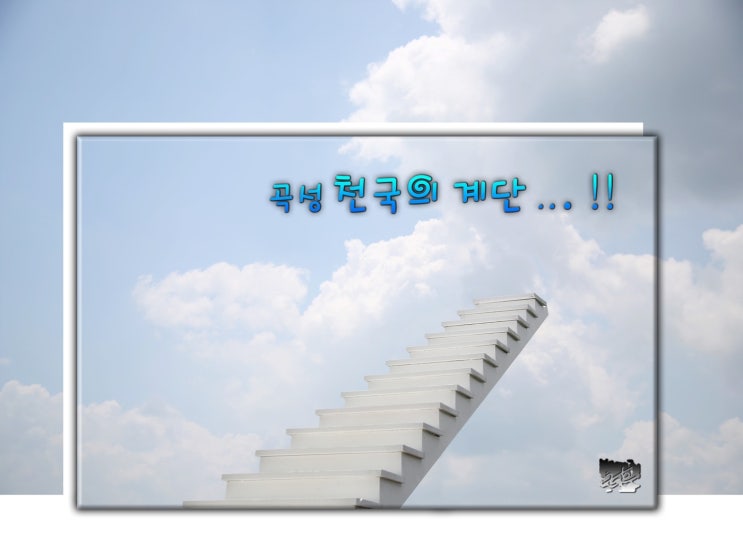 곡성 천국의계단.