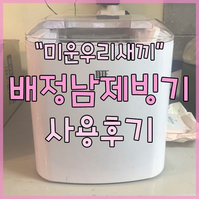 배정남 제빙기로 더위탈출 했어요!