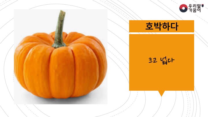 <우리말가꿈이 16기> 7. 자몽하다? 매실매실하다?! - 과일과 관련된 순우리말