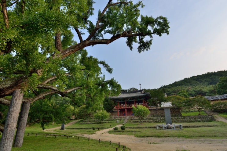 도동서원(2)