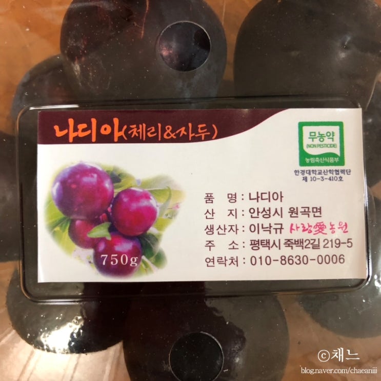 여름제철과일 : 나디아 체리자두 주문해봤어요!
